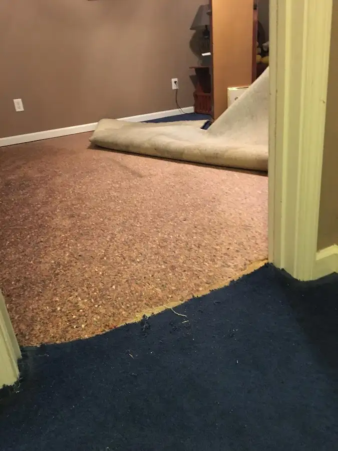 Carpet pad removal revealing water damage during Water Mitigation Services in Glasgow