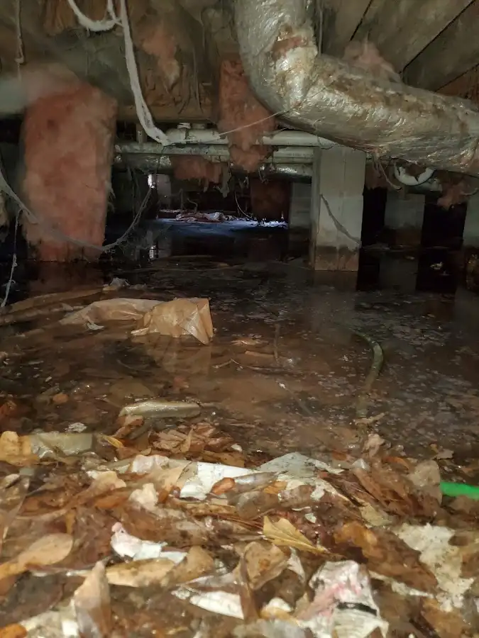 Crawl space flood assessment for Leak Detection & Repair in Glasgow
