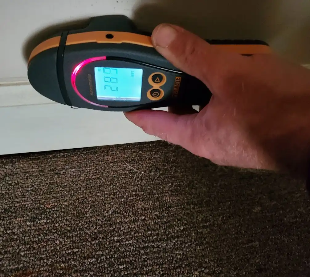 Moisture detection at baseboard during Sewage Cleanup & Sanitation in Glasgow